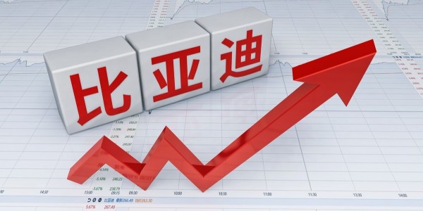 比亞迪刀片電池已供應特斯拉 ：車輛最快8月底下線