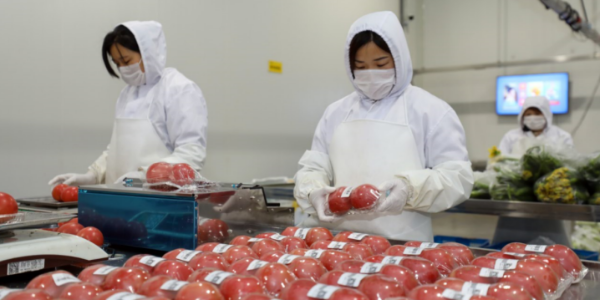 蘇寧冷鏈完成270城覆蓋並全麵開放